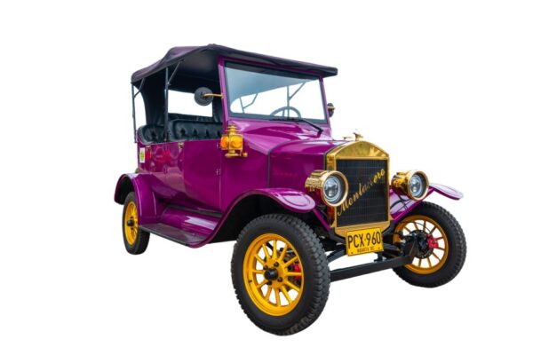 Carro clásico 3 a 4 personas - Color Morado